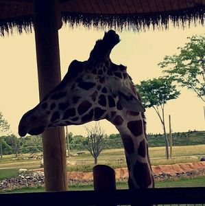 Meet your Posher, Sydney